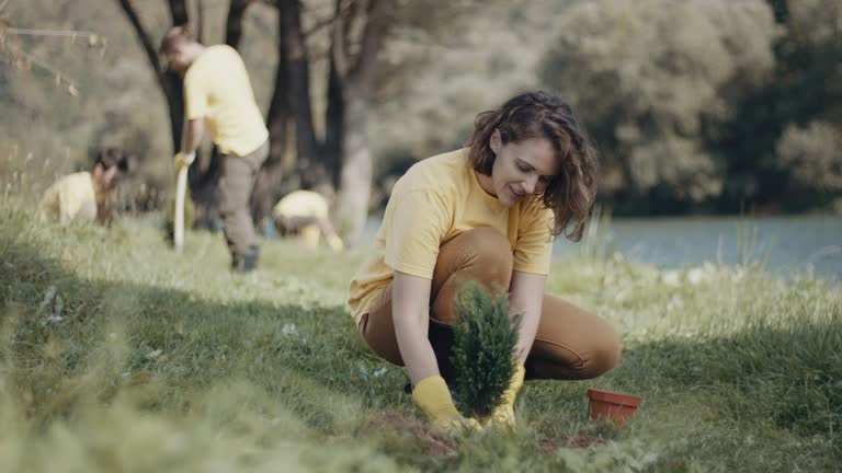 Best Soil Testing and Treatment  in Islip Terrace, NY