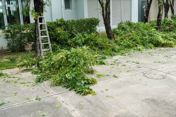 Best Emergency Tree Removal  in Islip Terrace, NY
